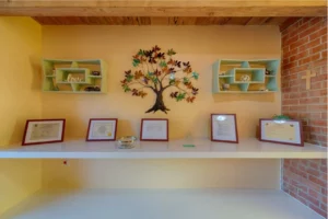 Senior Assisted Living Home with medication management in Blenman AZ